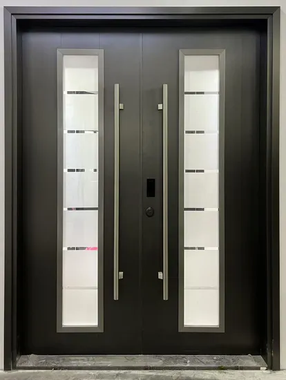 Stainless Steel Doors Often with Glass Design and High-End Appearance