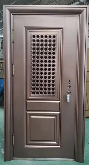 High Quality Steel Entry Exterior Security Door in Door