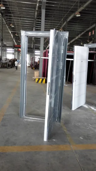 Australia Standard Stainless Steel Security Door with Lock Design for Sale