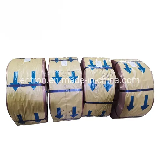 0.96 High Tensile Strength Bead Wire