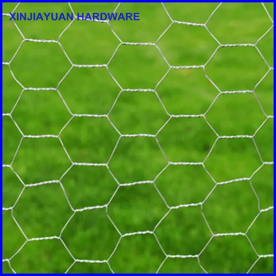 Hexagonal Wire Mesh/Chicken Wire Mesh/Galvanized Hexagonal Wire Netting