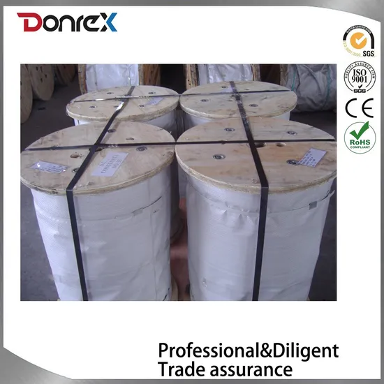 Factory Price to Wear Sturdy Design Very Strong Electric Lifting Coarse Hot Dipped Galvanized Stainless Steel Wire Rope with a Strength 6*7+FC Near Me