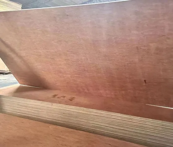Dubai Commercial Plywood Selling High Quality Poplar Core Bintangor Plywood Packaging