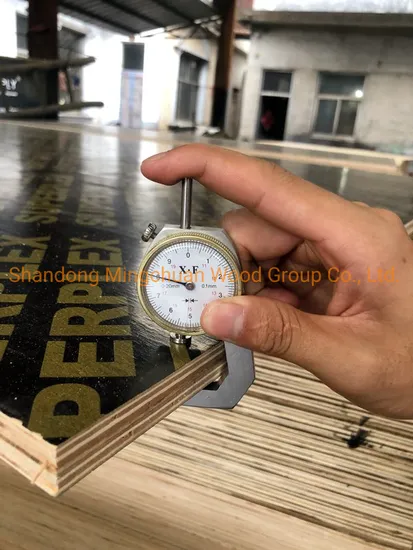 Poplar Core Plywood Shuttering Plywood Construction Superplex Black Film Faced Plywood
