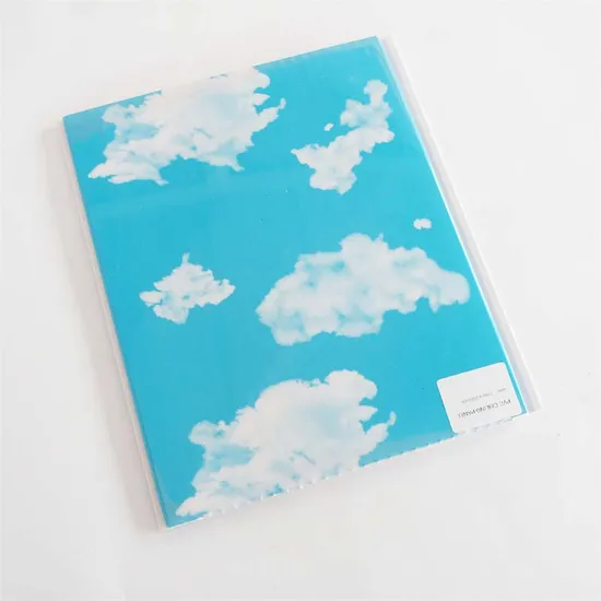 Ceiling Panel New Customized 20cm/25cm/30cm Tech De PVC for Decoration