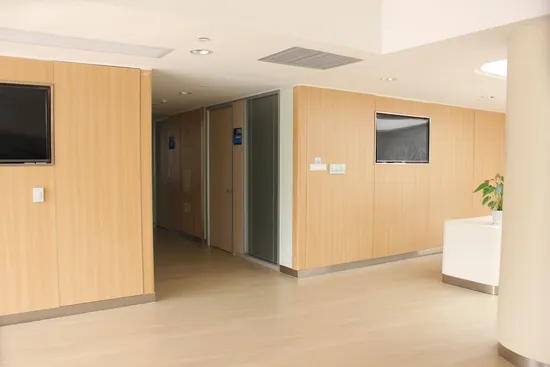 The Lowest Price Interior HPL Wall Panels