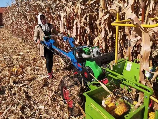 Shuhe brand  walking Corn Harvester/Hand control walking corn harvester/mini corn harvester