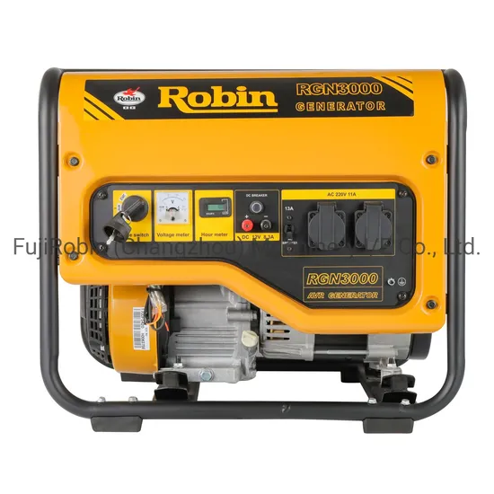 Robin Brand Hot Sell Gasoline Generator Set Rgx3000