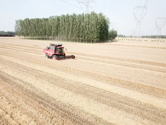Advanced Rice Combine Harvester for High-Performance Farming Operations