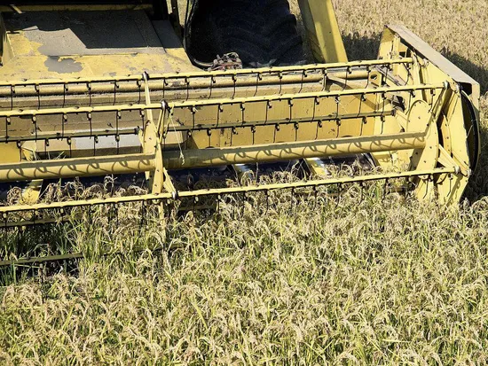 2 Rows Mini 75HP Combine Harvester Rice Harvest Rg25 with High Quality and Low Price for Sale