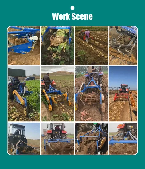 High Efficiency Potato Harvester Tractor Sweet Potato Harvester
