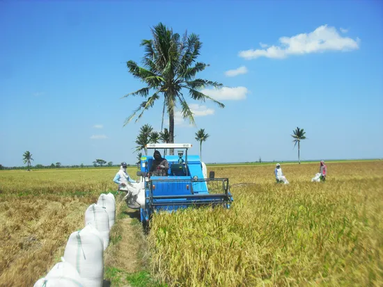 Mini Agricultural Machinery Combine Harvester Rice Wheat Combine Harvester for Sale