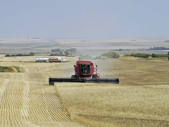 World 102HP 4lz-5.0 Rice and Wheat Combine Harvester for Sale
