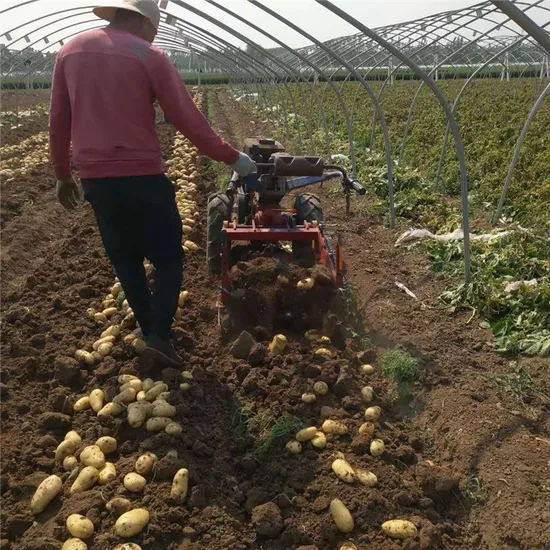 Carrot Sweet Potato Harvester 3 Point Potato Digger 2 Rows