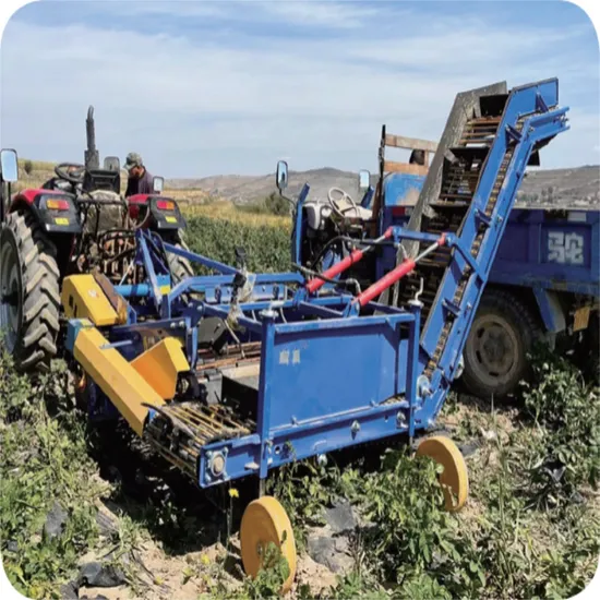 Tractor Mounted Potato Harvester Machinery/Automatic Potato Receiving Machine 4uds-90