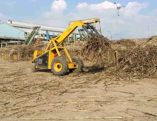 China Top Three Wheel Mini Sugarcane Loader with Rotating Grab for Sale