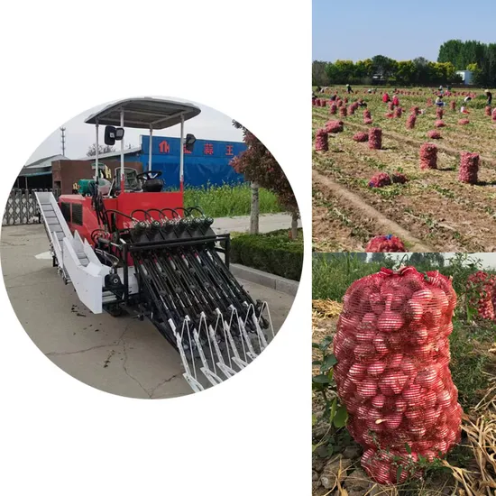 Farm Use High Efficiency Popular Large Multifunctional Self-Propelled Garlic Harvester on Sale