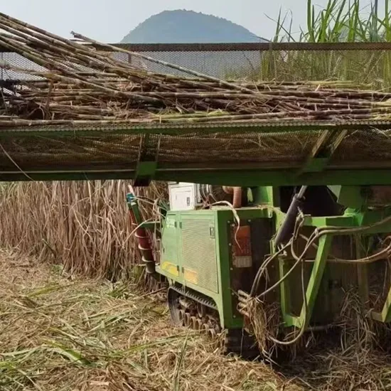 Customizable 88kw Sugarcane Harvester with Multi-Function Integrated Operation (4GL-1A(G4))