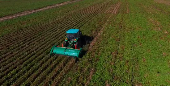 Hot Sale High Efficiency Large Capacity Corn Wheat Potato Haulm Cutter