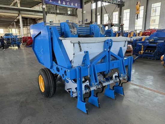 Hongyou New Potato, Carrot, Onion, Garlic, Planter 2cm-2A