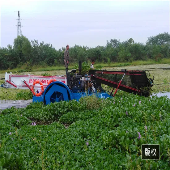 Hydraulic Control Automatic Mowing Boat River Lake Garbage Cleaning Reed Collecting Aquatic Water Hyacinth Grass Plant Seaweed Weed Cutting Harvester