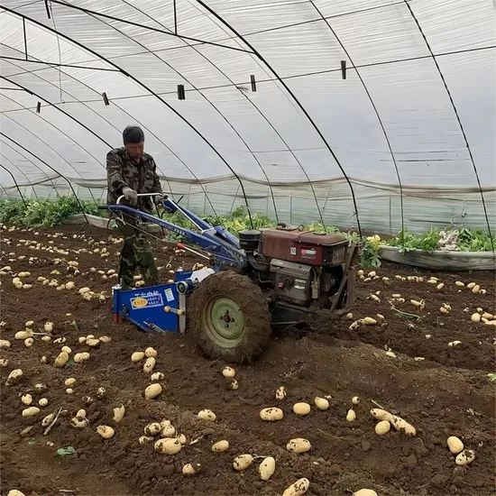 Lightweight and Flexible 4UC-70 0.14-0.27ha/H 700mm Tire/Track Spacing Sweet Potato Harvester