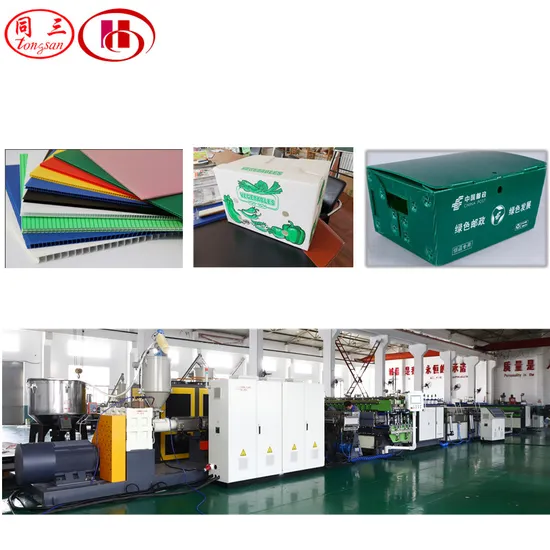 PP Polypropylene Plastic Twin Wall Hollow Grid Fluted Colorful Corrugated Correx Sheet Board Panel Making Machine for Vegetable Fruit Carton Packing Box