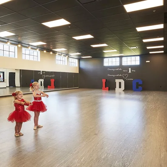 High-Grade Commercial Stage Dance Studio Special PVC Vinyl Floor Roll