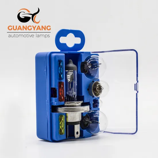 Wholesale Hot Sale H4 12V 60/55W Kit Box Car Halogen Lamp with Fuse and Mini Bulb