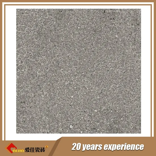 Hot Sale Building Material Rough Surface Rustic Porcelain Matt Floor Tile (HT60012)