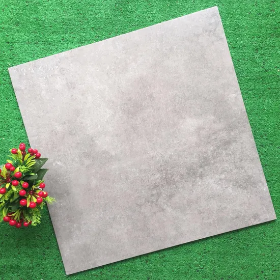 Building Material New Collection Cement Series Rustic Ceramic Floor Tile (600*600mm)