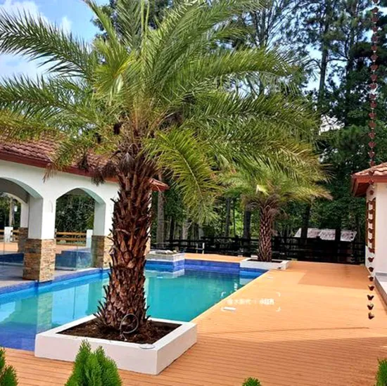 China Exterior Outside Fireproof Smooth Surface WPC Decking Wood Plastic Co-Extrusion Composite Decking for Garden
