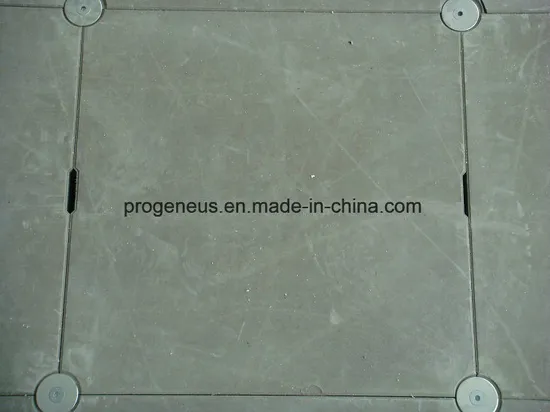 Progeneus Silicate High Raise Floor Anti-Static Floor Panel