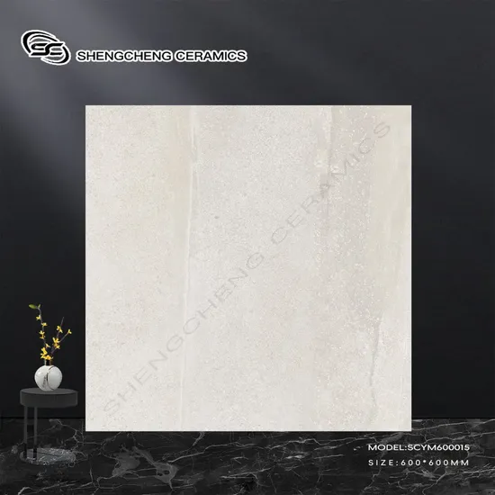 Promotion 600X600mm Ceramics Matte Tile for Interior Low Absorbent Bathroom Rustic Porcelain Tile Walls and Floors