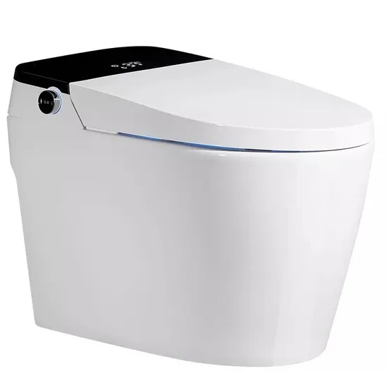 Modern Intelligent Toilet Luxuryceramic Bathroom Smart Toilet Sanitary Ware