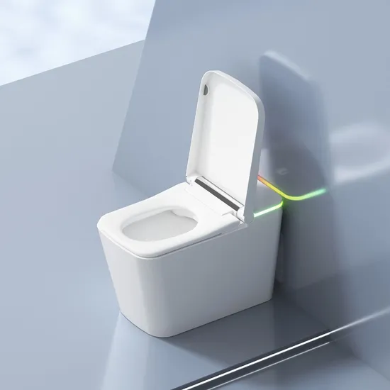 2024 Luxury Sanitary Ware European Style Ceramic Automatic Siphonic One Piece