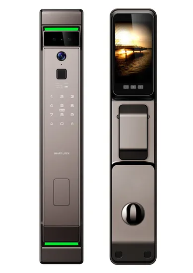 3D Face Recognition Smart Door Lock with Camera Cerradura WiFi Biometric Fingerprint Security Fully Automatic Smart Lock