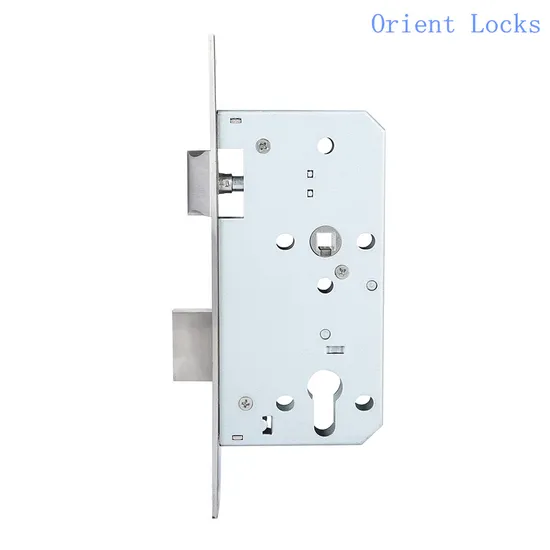 Mortise Door Lock 7255 Stainless Steel Cylinder Lockbody