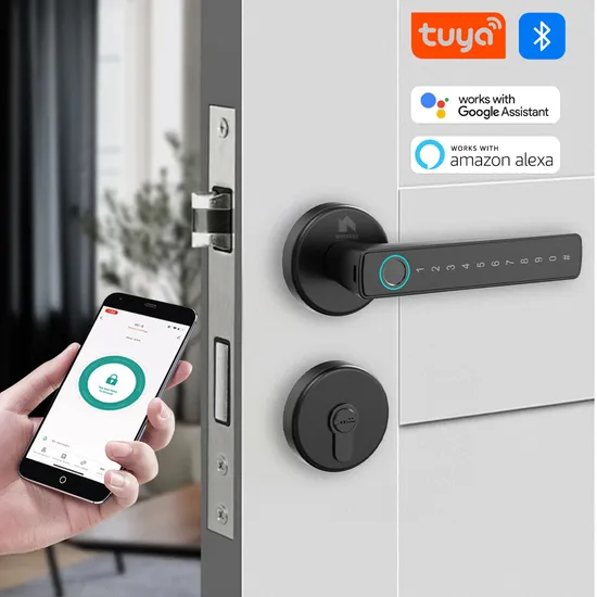 Wholesale Tuya Fingerprint Password Card Access Security Digital Handle Smart Door Lock