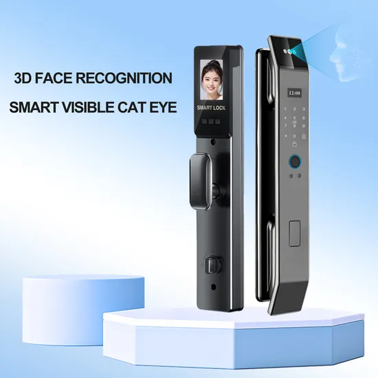 Digital Lock Fingerprint Password Card Face Recognition Automatic 3D Face Capture Smart Door Lock with Camera and Screen