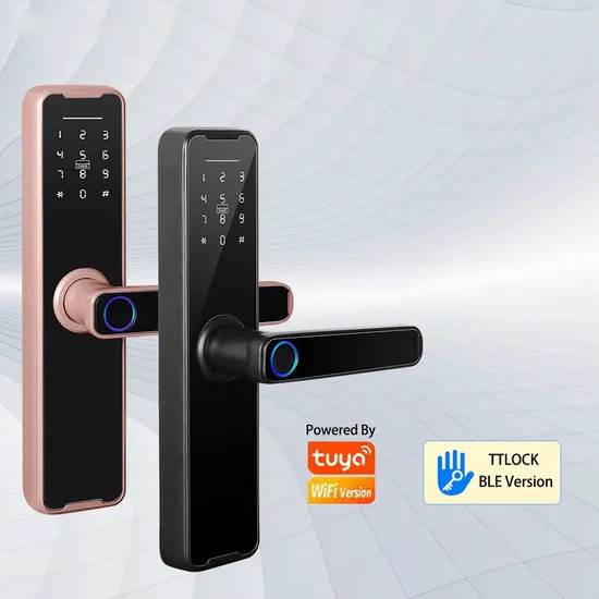 Tuya Smart Lock Fingerprint Lock Password Lock Wooden Door Lock