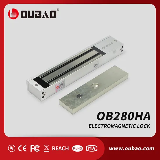 DC12V or 24V Factory Supply High-Quality Electromagnetic Magnetic Magnetic Lock for Access Control