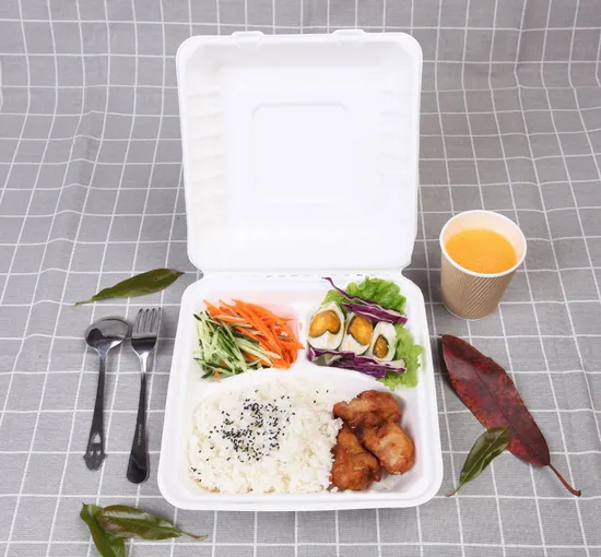 Chinese Factory Food Grade Sugarcane Pulp Box for Lunch and Snack Fried Noodles
