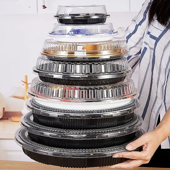 Food Container Fast Food Box Plastic Sushi Tray with Anti Fog Lids