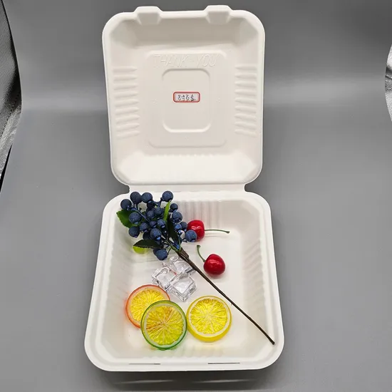 8 Inch Disposable Biodegradable Sugarcane Bagasse Clamshell Food Lunch Box