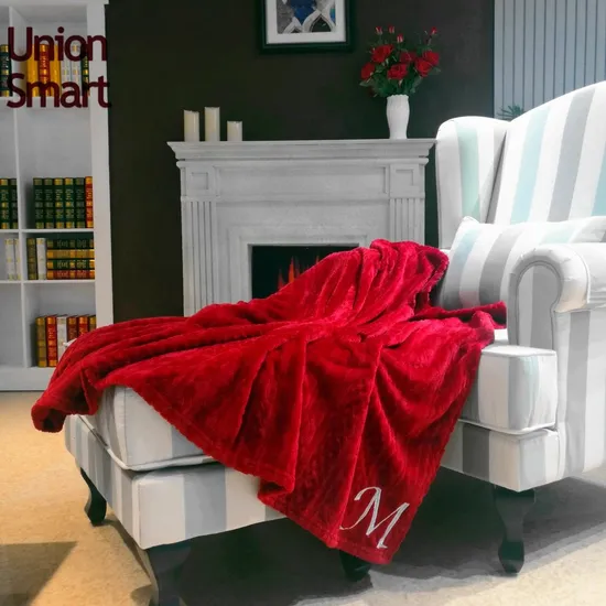 Anti-Pilling 100% Polyester Burn out Flannel Fleece Blanket