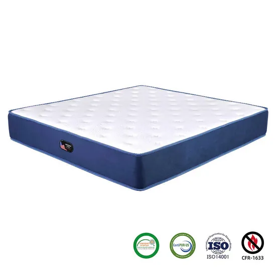 12 Inch Latex Pocket Coil Spring Blue Mattress in a Box