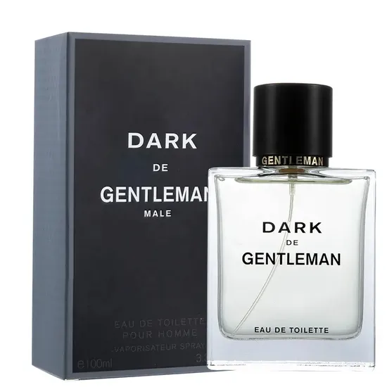 Premium 100ml Men′s Perfume Wholesale Fragrances for Resale