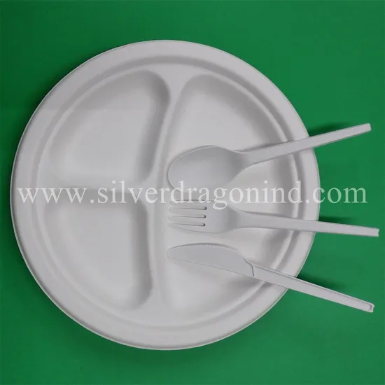 Biodegradable Disposable Sugarcane Pulp Containers (including Plates, trays, bowls and boxes)