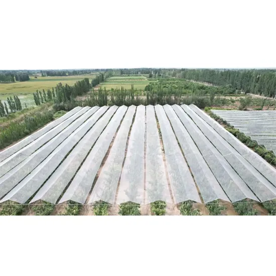 High-Quality Hail Nets for Customizable Farm Orchard Protection